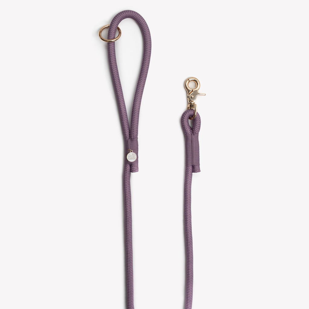 Lilac Everyday Braided Dog Leash
