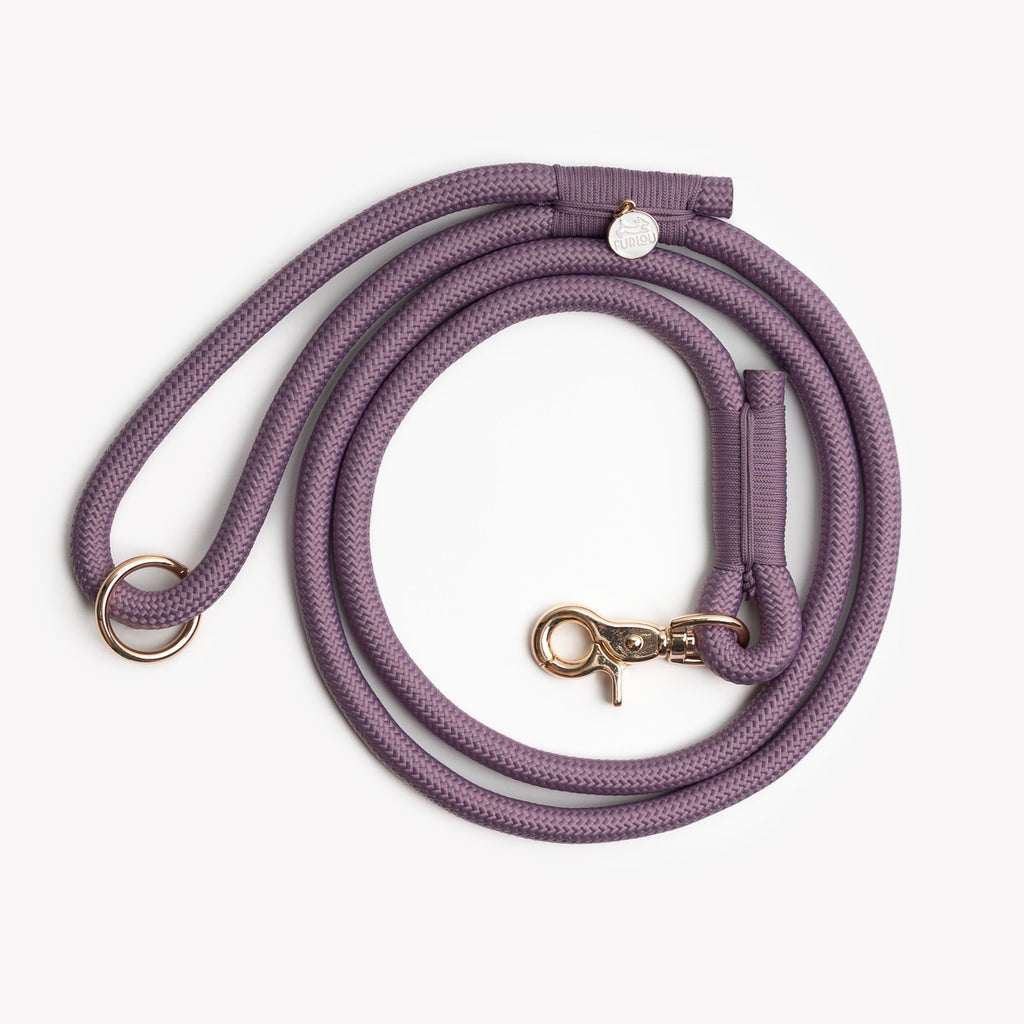 Lilac Everyday Braided Dog Leash