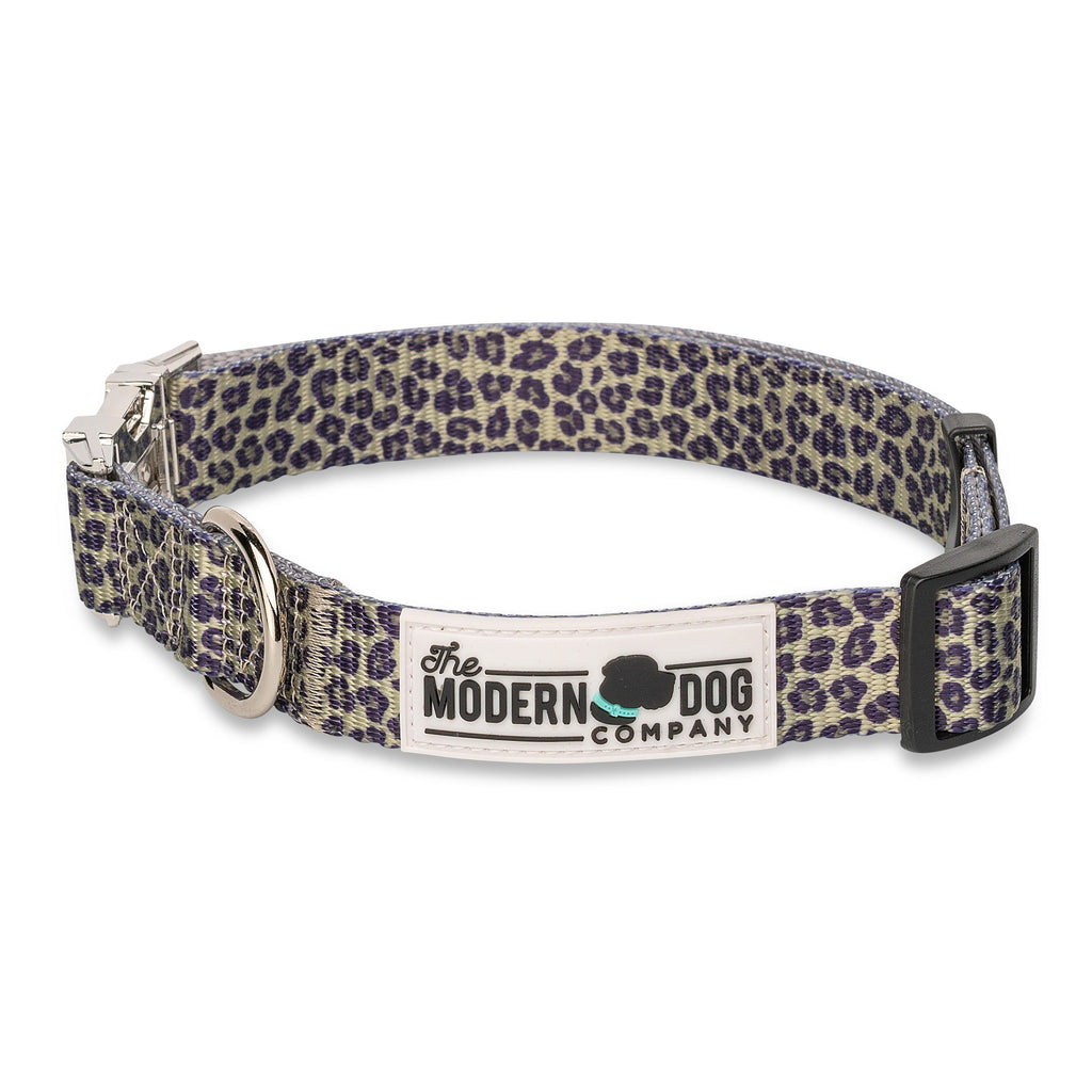 Walk on the Wild Side Leopard Print Dog Collar