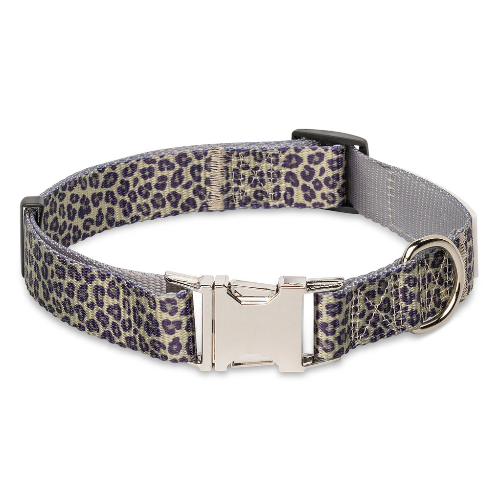 Walk on the Wild Side Leopard Print Dog Collar