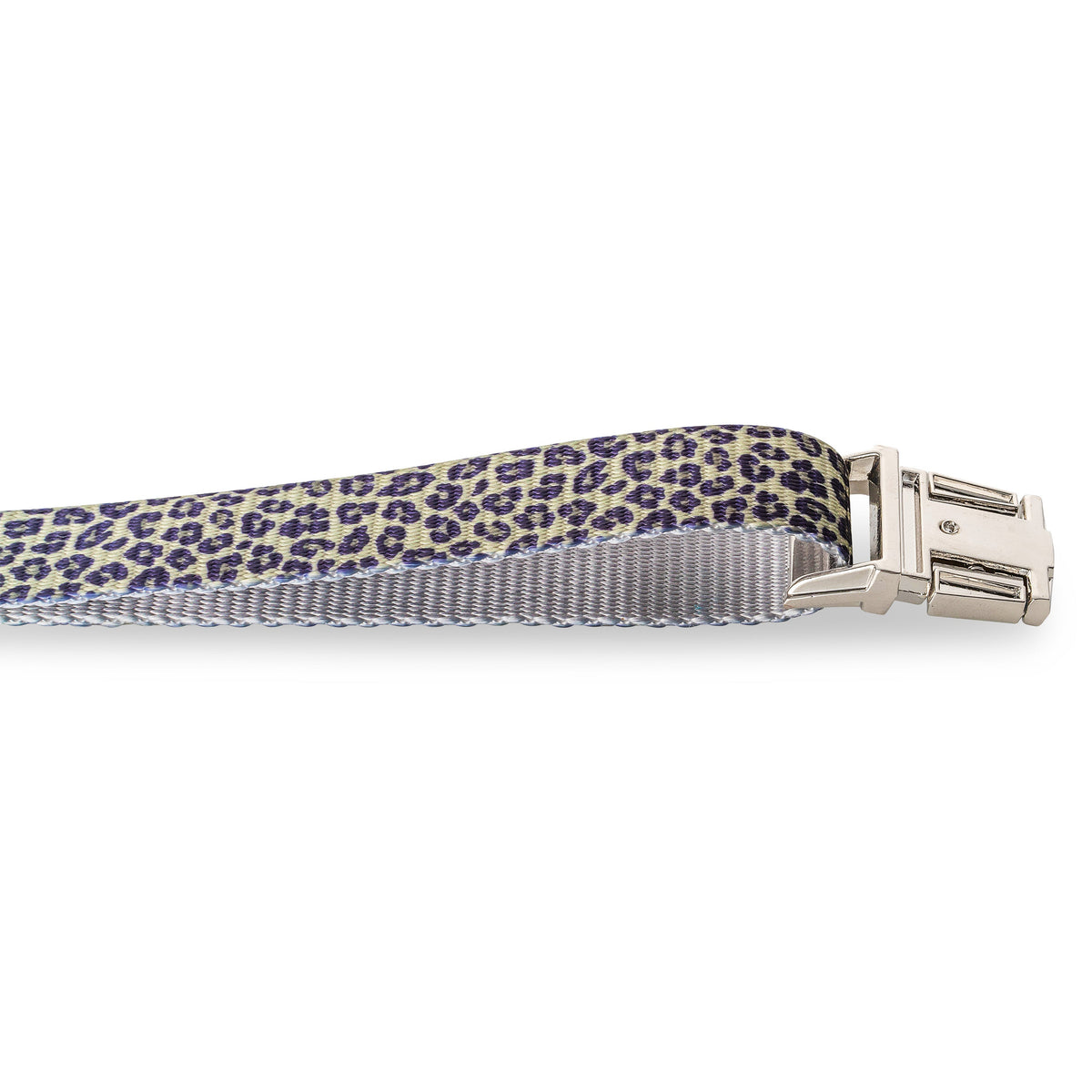 Walk on the Wild Side Leopard Print Dog Collar