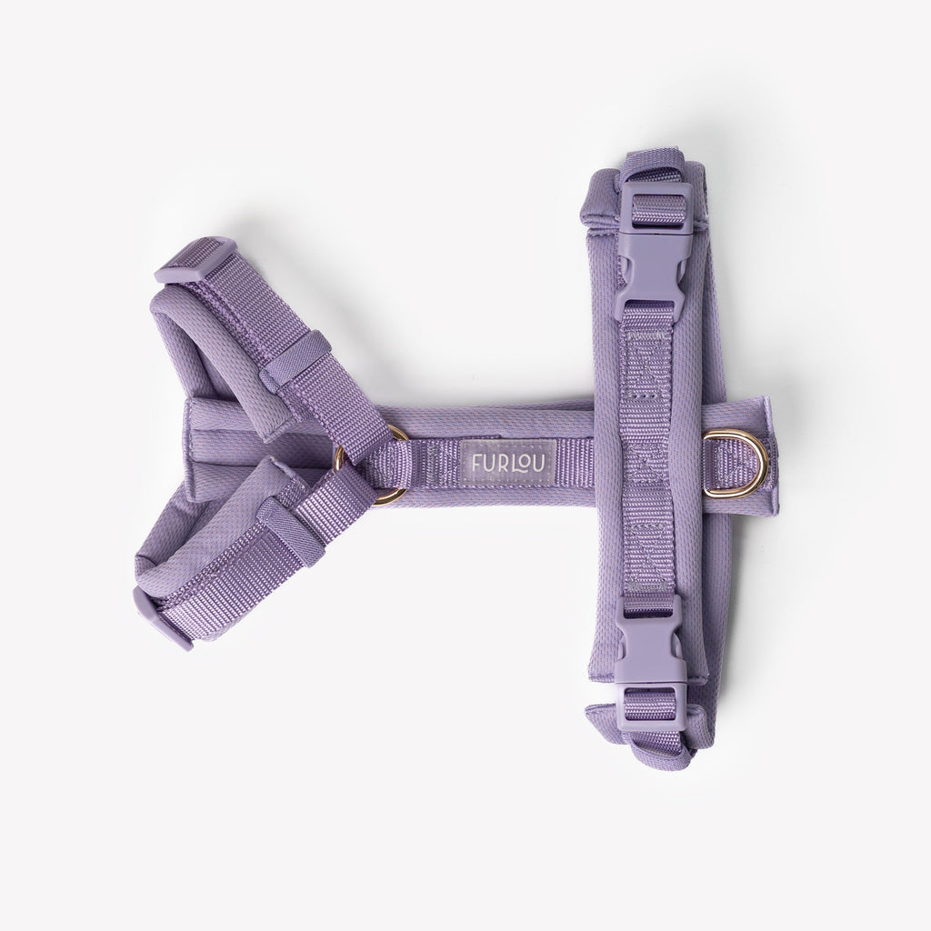 Lavender Comfort-Fit Dog Harness