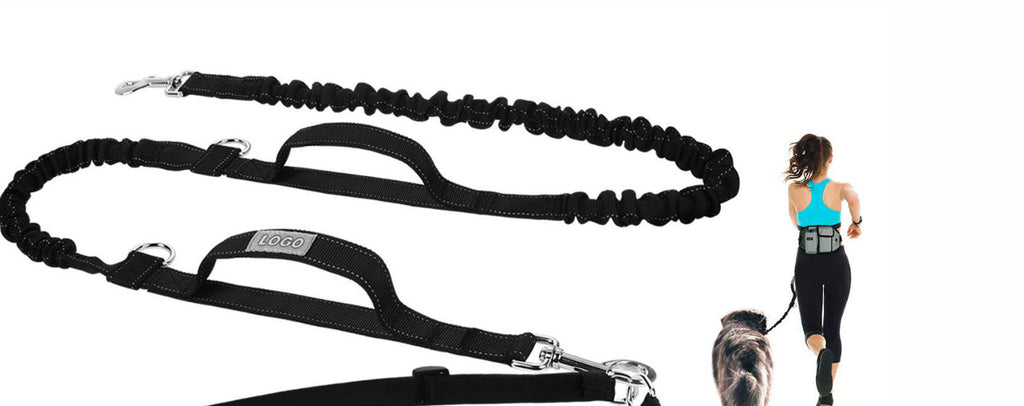 Hands-Free Dog Walking & Training Waist Bag Set