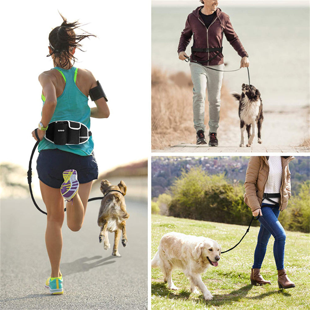 Hands-Free Dog Walking & Training Waist Bag Set