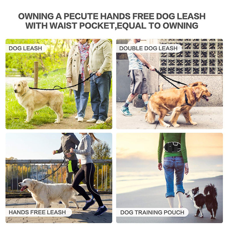 Hands-Free Dog Walking & Training Waist Bag Set