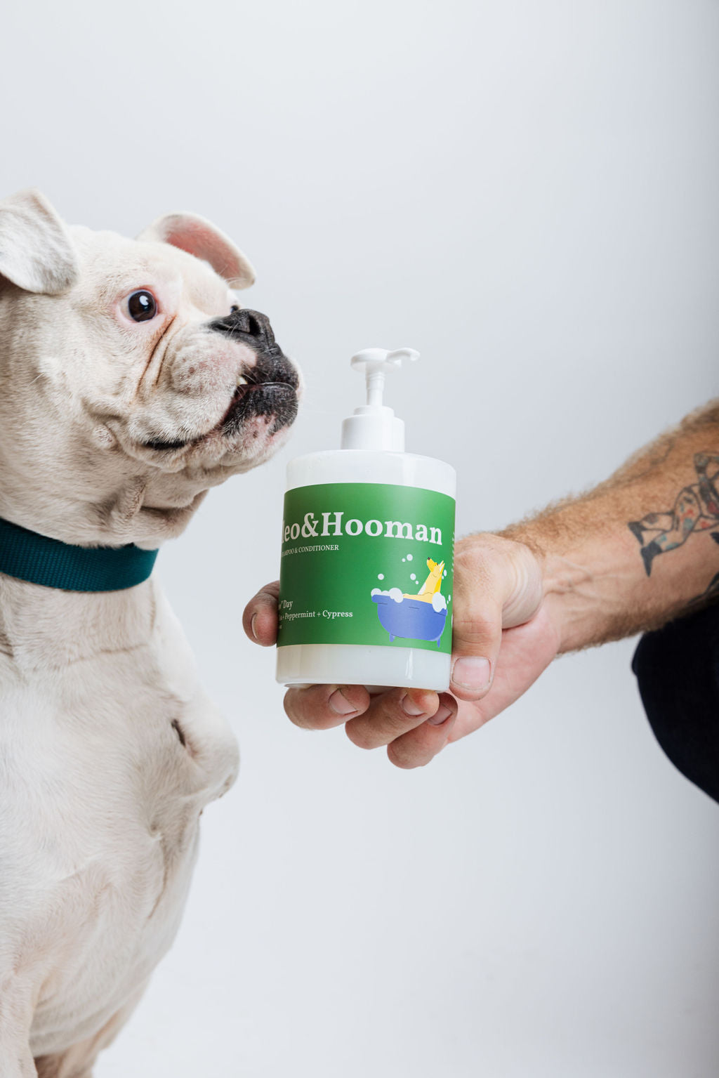 Spaw Day Dog Shampoo & Conditioner – White Tea, Peppermint & Cypress