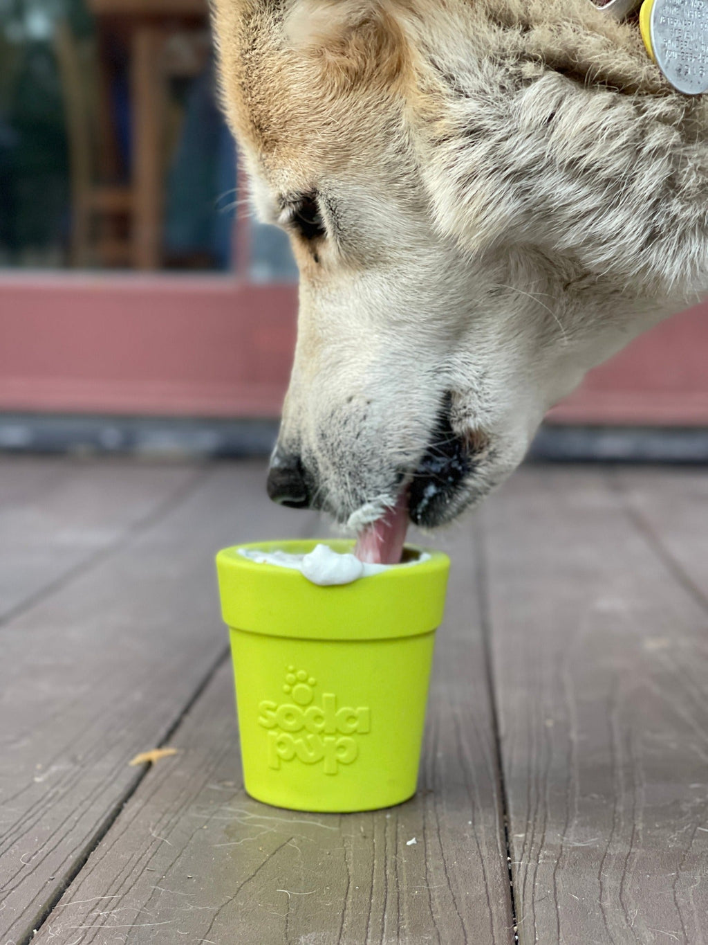 Flower Pot Interactive Treat & Enrichment Toy