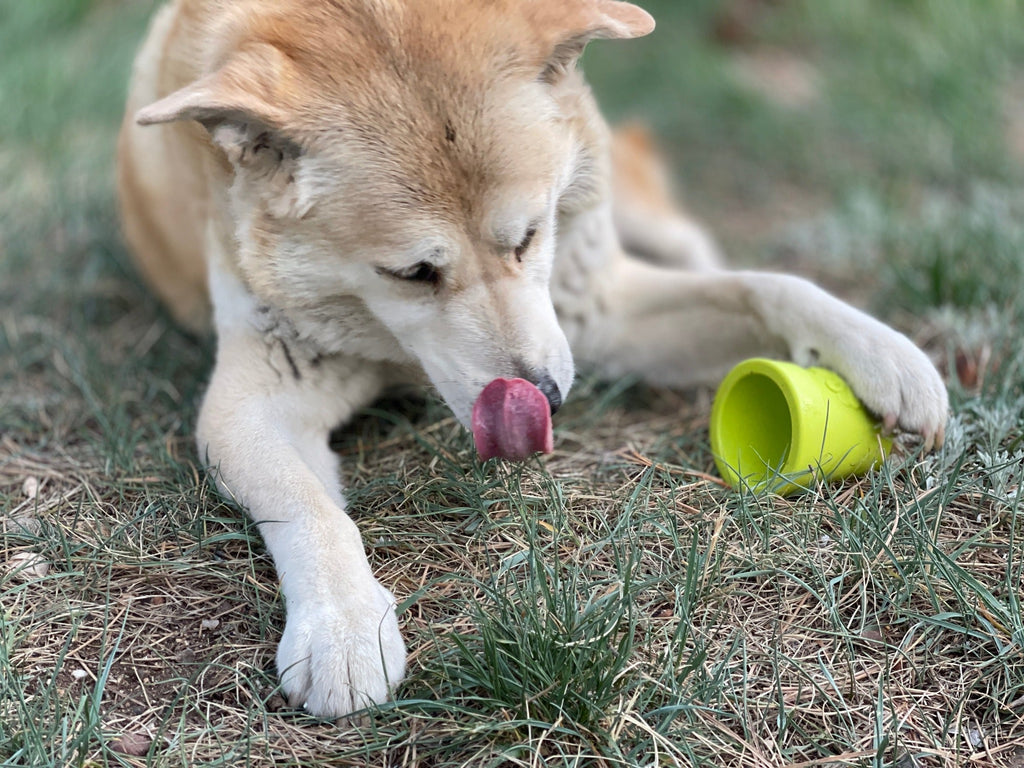 Flower Pot Interactive Treat & Enrichment Toy