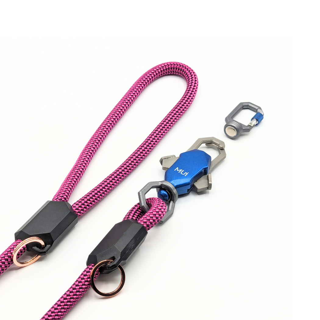 Magnetic Dog Leash – One-Hand Connect & Release