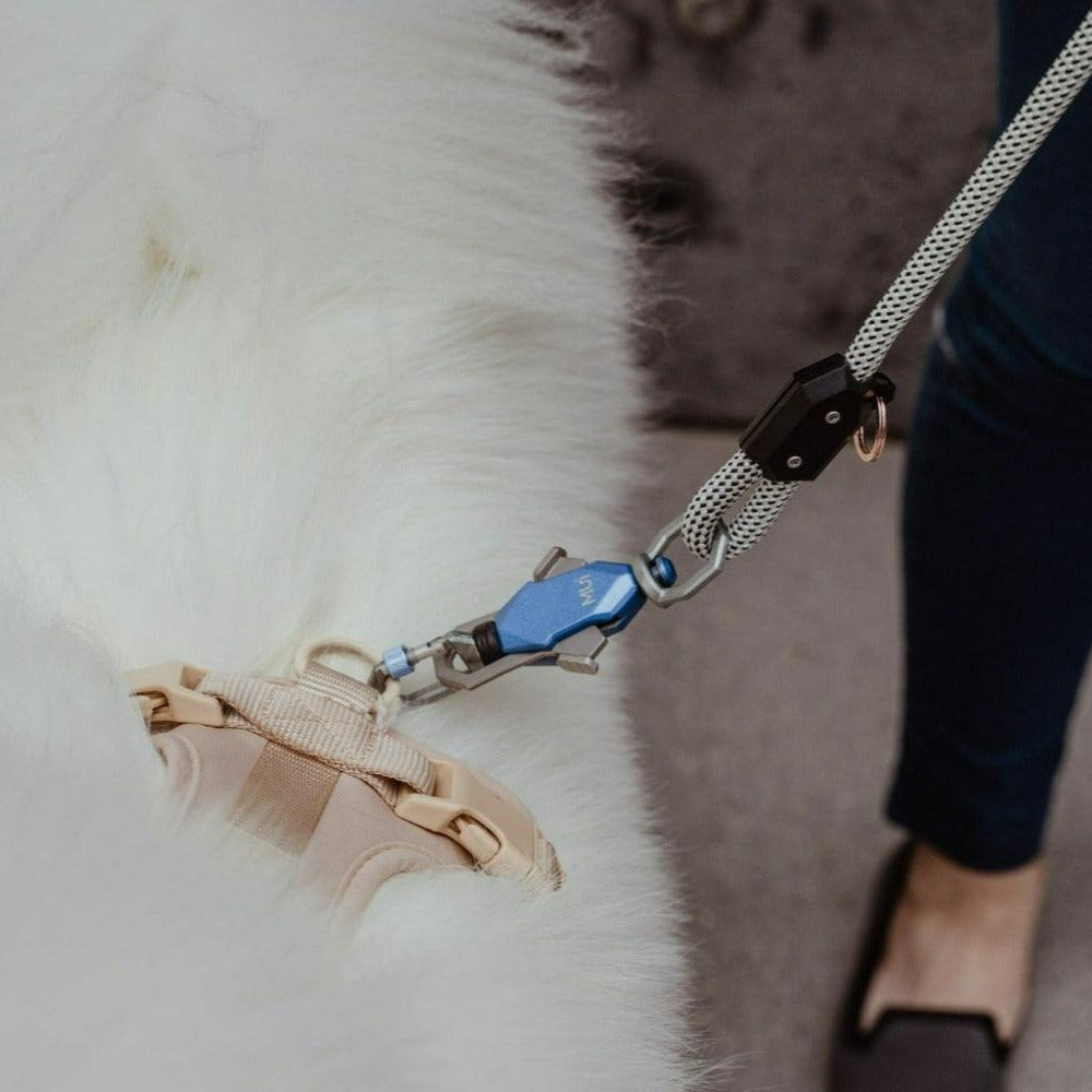 Magnetic Dog Leash – One-Hand Connect & Release