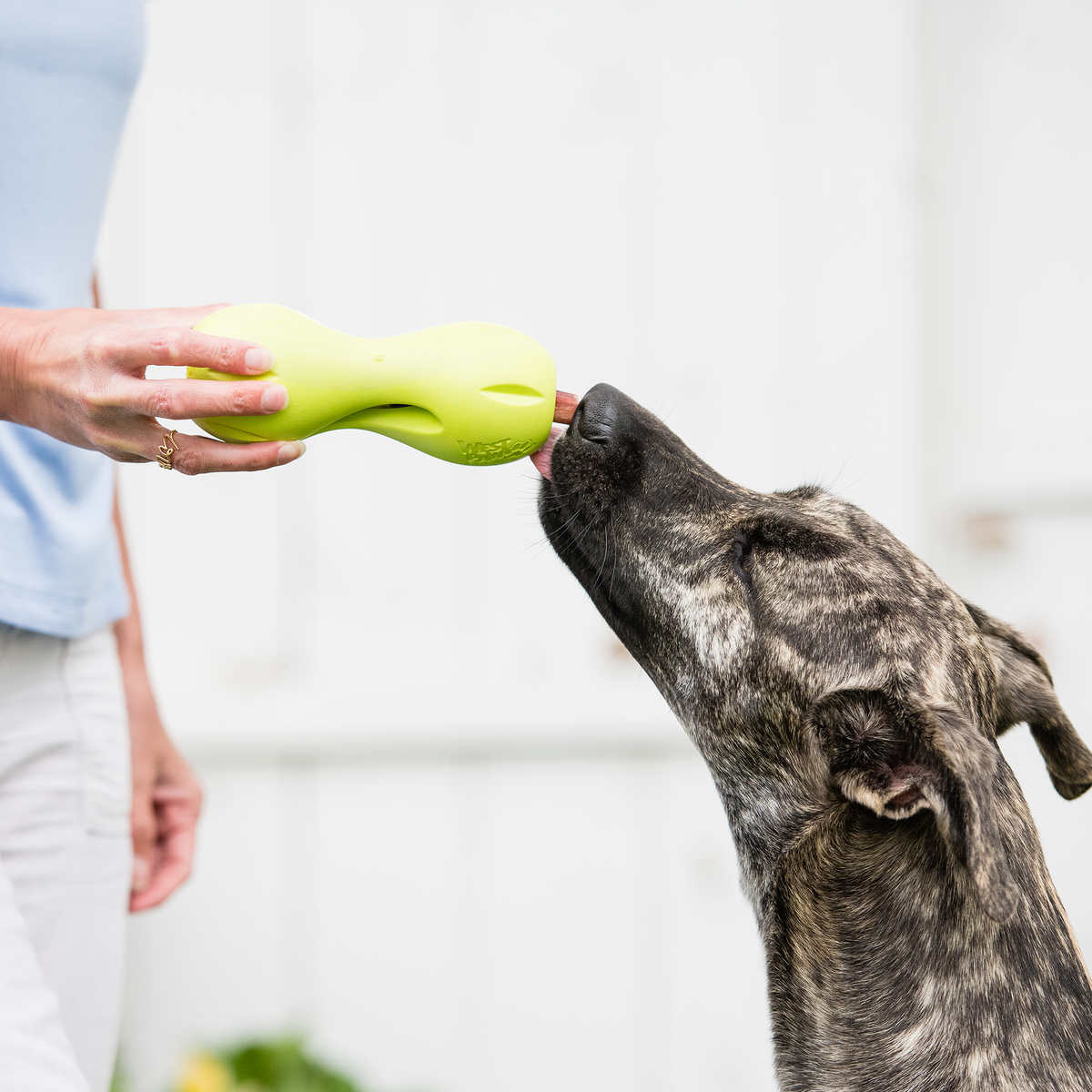 Qwizl Interactive Treat & Chew Toy