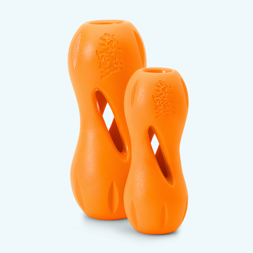 Qwizl Interactive Treat & Chew Toy