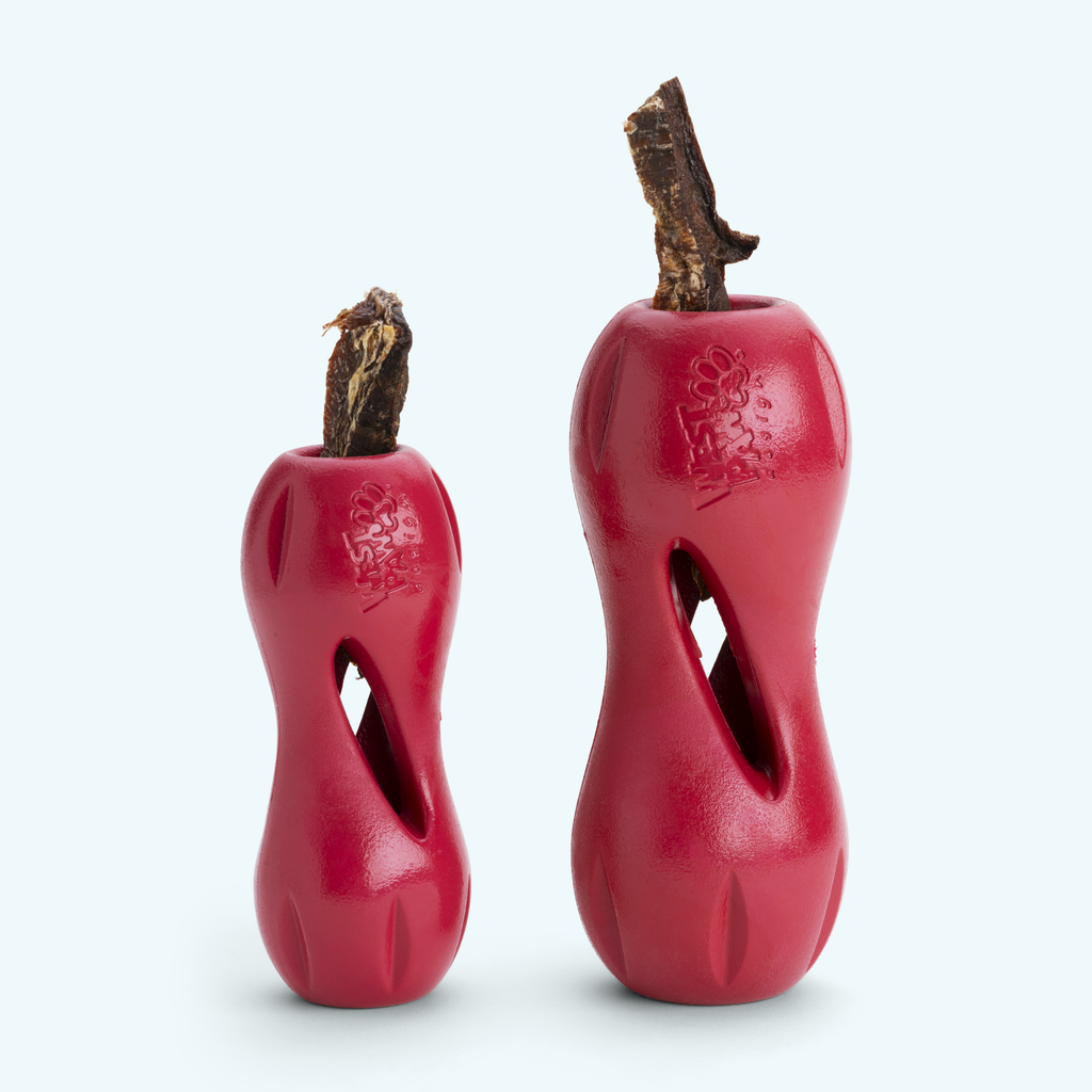 Qwizl Interactive Treat & Chew Toy