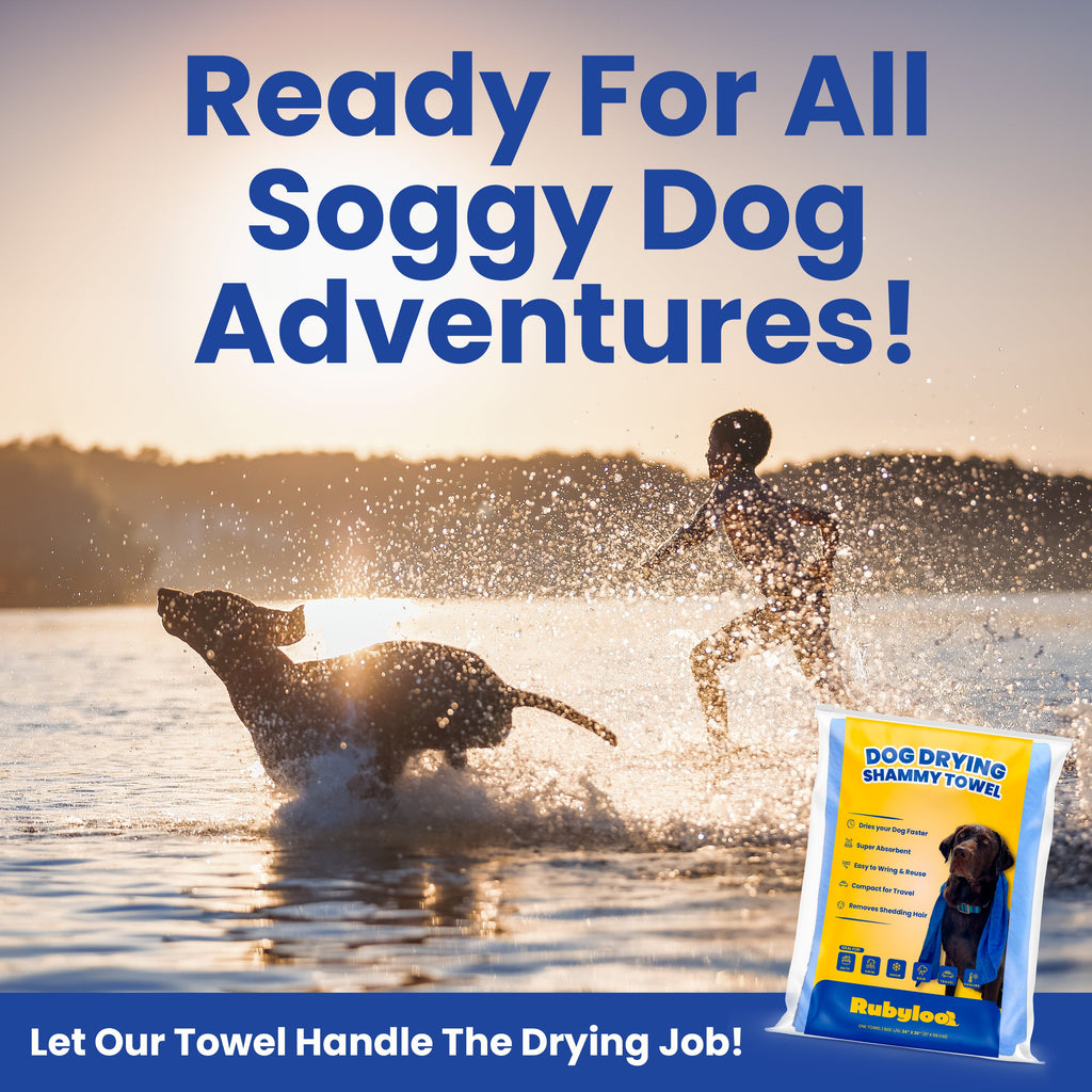 Quick-Dry Dog Shammy Towel – Reusable & Absorbent