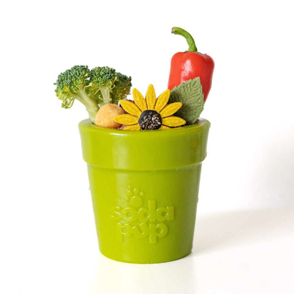 Flower Pot Interactive Treat & Enrichment Toy