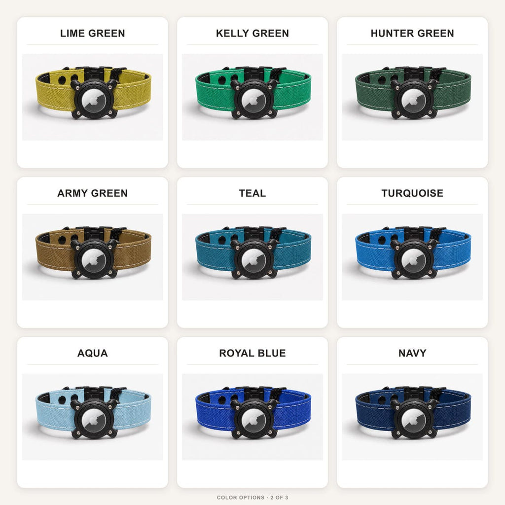 Waterproof AirTag Dog Collar with Built-In Holder