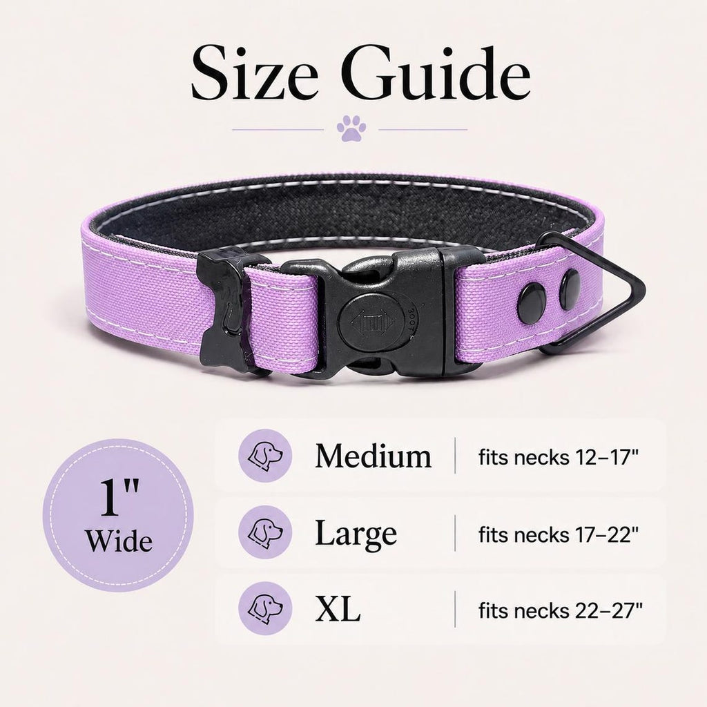 Waterproof AirTag Dog Collar with Built-In Holder