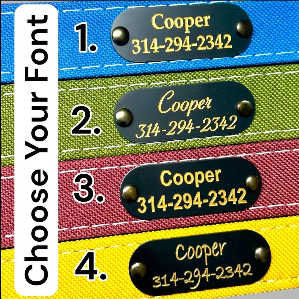 Waterproof AirTag Dog Collar with Built-In Holder