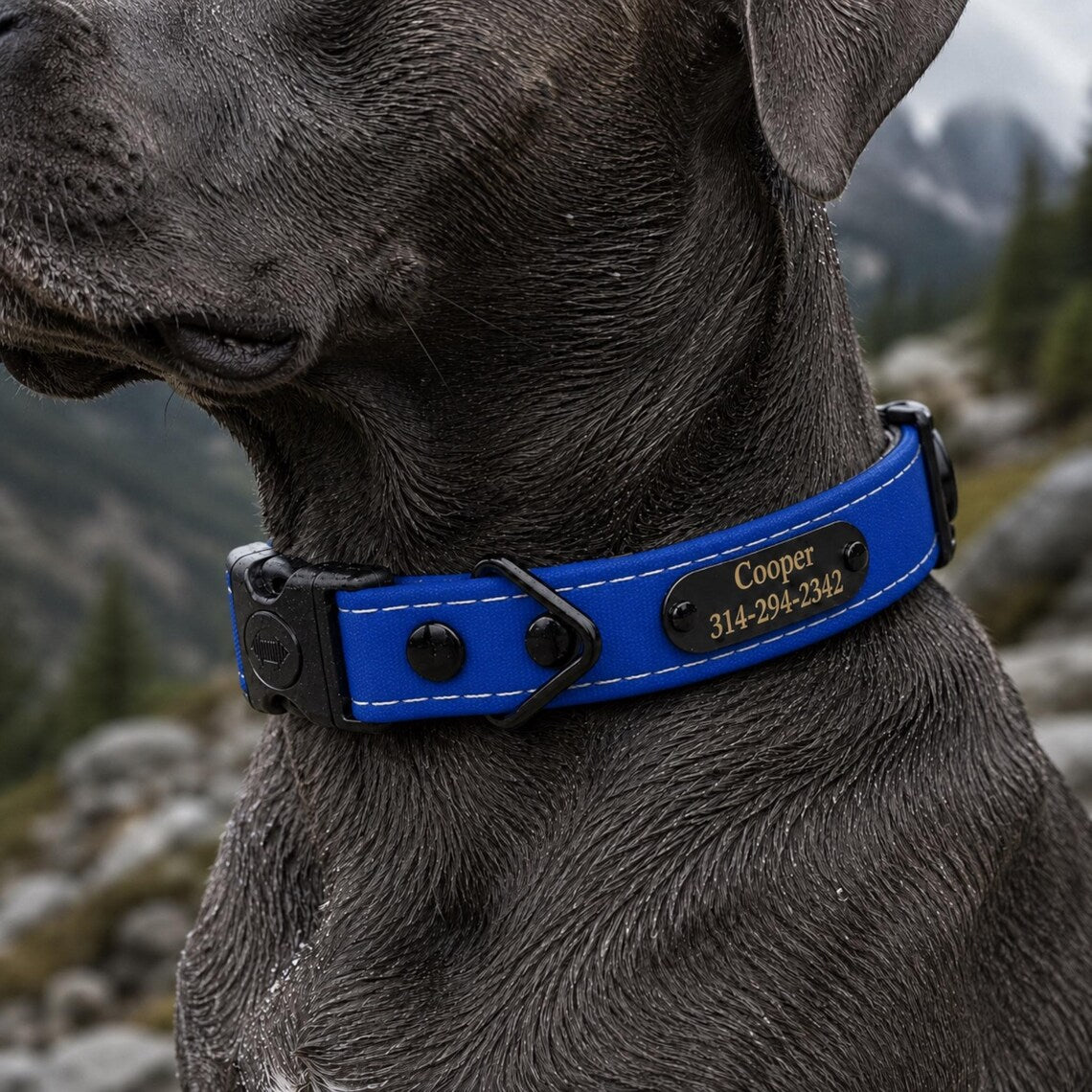 Waterproof AirTag Dog Collar with Built-In Holder