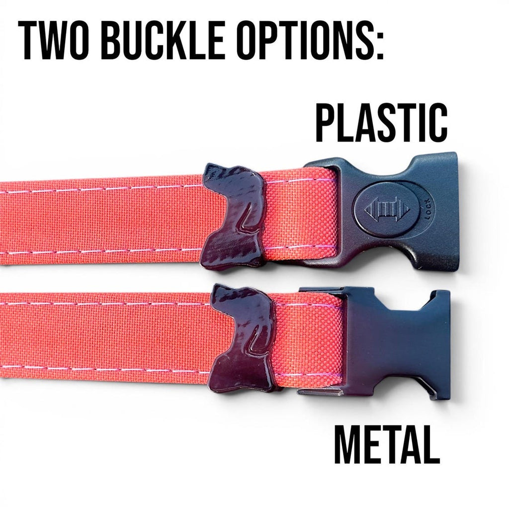Waterproof AirTag Dog Collar with Built-In Holder