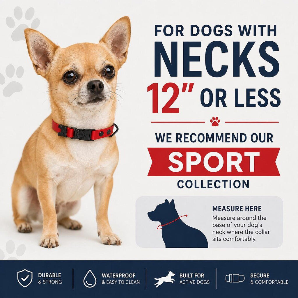 Waterproof AirTag Dog Collar with Built-In Holder